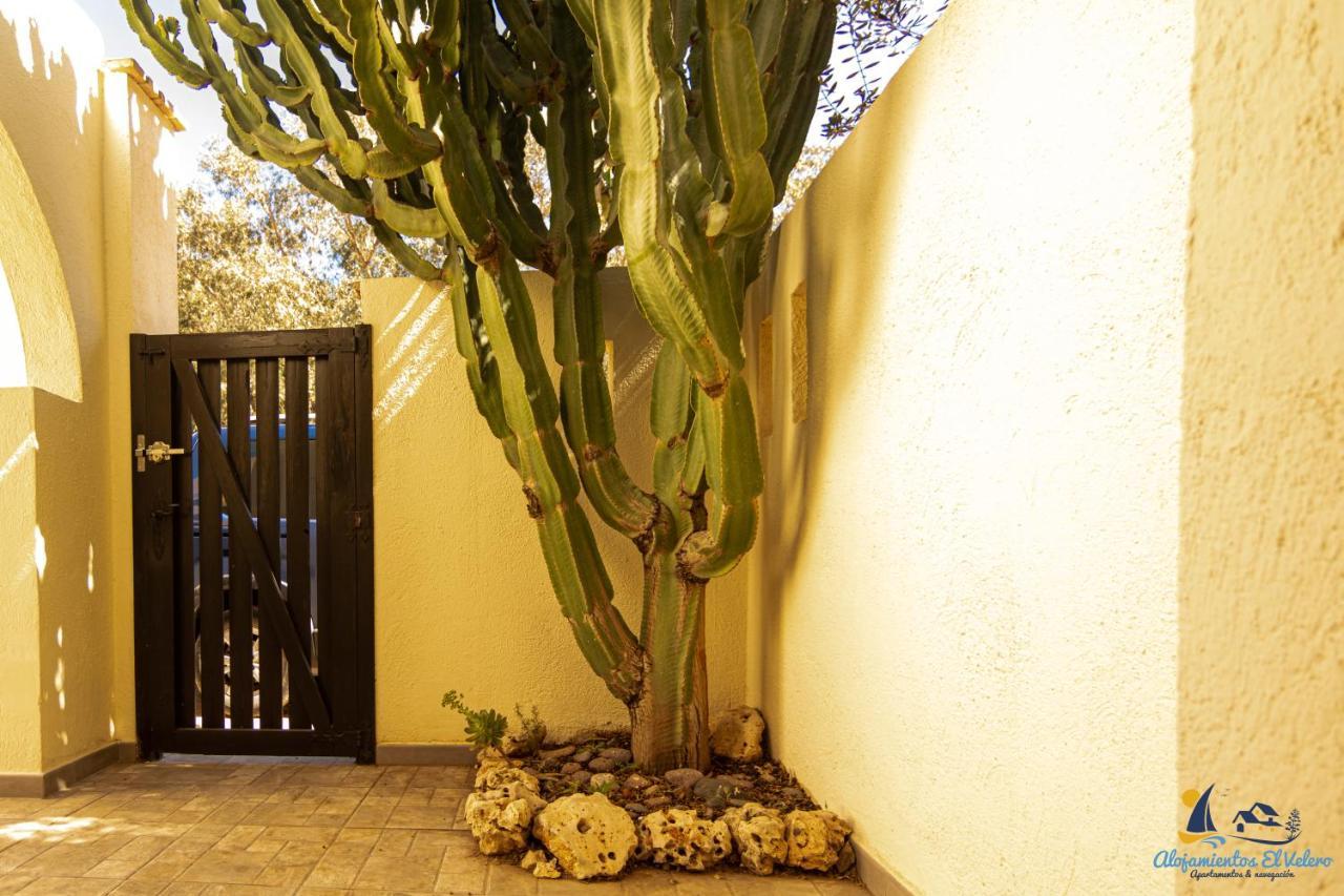 El Velero Sotillo Cactus Piscina San José Exterior foto